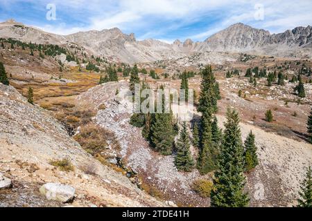 High Country in der Collegiate Peaks Wilderness, Colorado Stockfoto