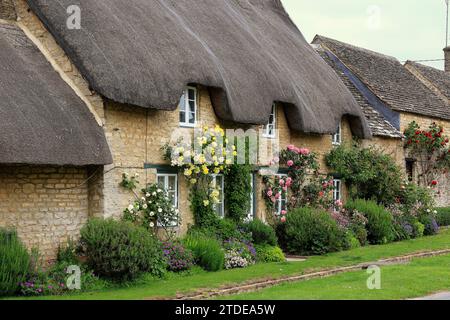 Malerisches traditionelles englisches Village Cottage mit Strohdach und farbenfrohen Rosen an der Wand Stockfoto