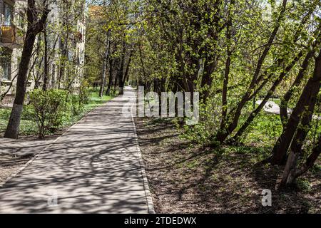 Pfad im Park. Schatten auf dem Pfad. Helle Sonne draußen. Stockfoto