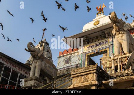 Das Eingangstor des heiligen hindutempels mit Elefantenskulpturen am Morgen wird am Jagdish Tempel udaipur rajasthan indien aufgenommen. Stockfoto