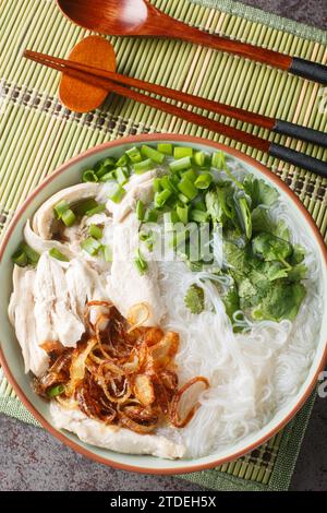 Orientalische klare Hähnchensuppe mit Nudeln, gebratenen Zwiebeln, grünen Zwiebeln und Koriander in einer Schüssel auf dem Tisch. Vertikale Draufsicht von oben Stockfoto