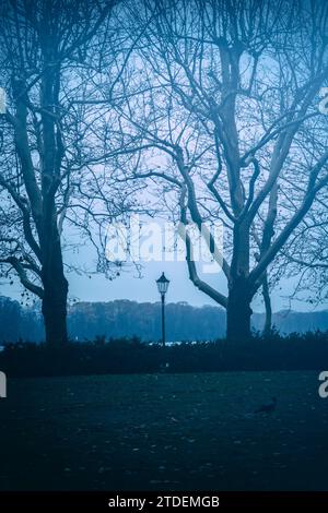 Tegal Lake Berlin Deutschland Stockfoto