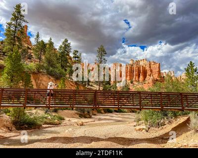 Ein Bach, der durch den Mossy Cave Trail im Bryce Canyon National Park, Utah, USA, Nordamerika verläuft Stockfoto