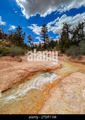 Ein Bach, der durch den Mossy Cave Trail im Bryce Canyon National Park, Utah, USA, Nordamerika verläuft Stockfoto