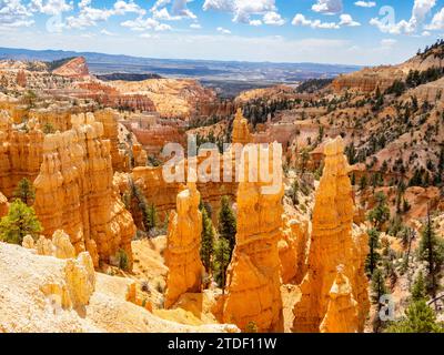 Rote Felsformationen, bekannt als Hoodoos im Bryce Canyon National Park, Utah, USA, Nordamerika Stockfoto