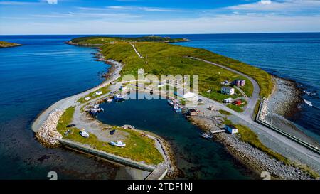 Luftlinie der Insel in der Nähe von Ferryland, Avalon Peninsula, Neufundland, Kanada, Nordamerika Stockfoto