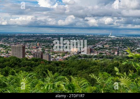 Blick über Montreal von Mont Royal, Montreal, Quebec, Kanada, Nordamerika Stockfoto