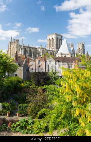 York Minster im Sommer von den Barwänden aus gesehen, York, Yorkshire, England, Vereinigtes Königreich, Europa Stockfoto