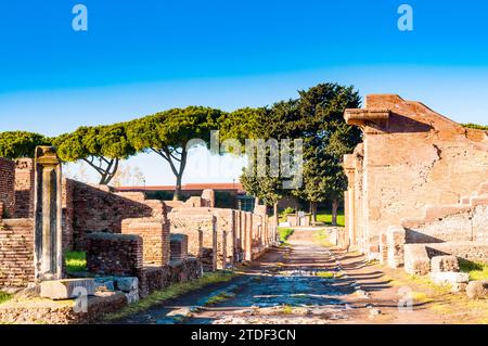 Cardus, Ostia Antica archäologische Stätte, Ostia, Provinz Rom, Latium (Latium), Italien, Europa Stockfoto