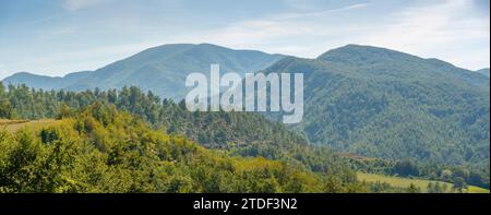 Blick auf Wald und Landschaft in der Nähe von Pennabilli, Provinz San Rimini, Emilia-Romagna, Italien, Europa Stockfoto