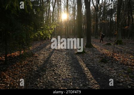 Der Tatort des Doppelmordes in Klanovice Forest, Prag, Tschechien, am 18. Dezember 2023. Zwei Menschen, darunter ein Kind, wurden am 15. Dezember 2023 im Stadtteil Klanovice am östlichen Stadtrand von Prag tot aufgefunden. Mehrere Dutzend Polizisten arbeiten an der Aufklärung des Doppelmordes. (CTK Foto/Michaela Rihova) Stockfoto