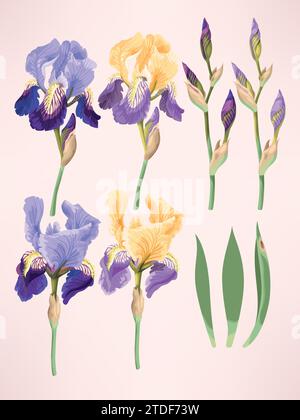 Blendenvektorsatz Stock Vektor