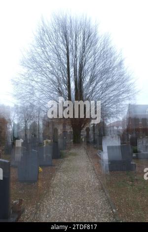 moody Unschärfe Friedpfad mit einem Baum an regnerischen Wintertagen Stockfoto