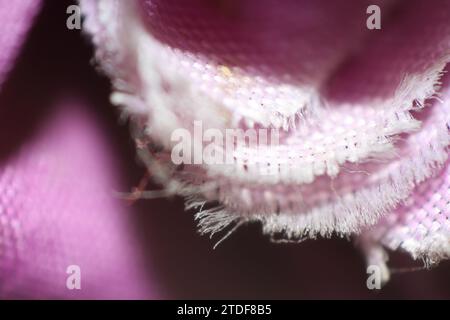 Eine Nahaufnahme eines Stoffes. Stockfoto