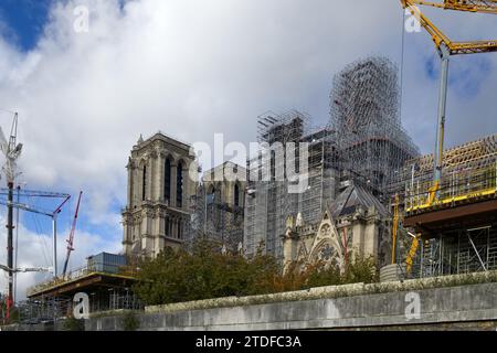 Paris, Frankreich - Reparaturen an der Kathedrale Notre Dame an der Ile de la Cite von der seine aus gesehen Stockfoto