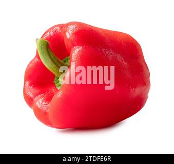 Feuchte rote Glocke oder süßer Pfeffer ist auf weißem Hintergrund mit Beschneidungspfad isoliert. Stockfoto