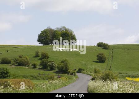 Hackpen White Horse Stockfoto