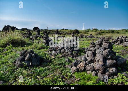 Basalt auf der Insel Jeju, Südkorea Stockfoto