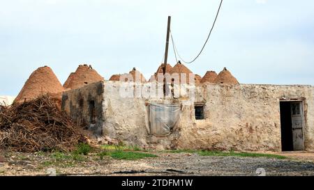 Die Gründung der Stadt Harran geht wahrscheinlich auf das 18. Jahrhundert v. Chr. zurück. Typische konische Häuser dieser Region Stockfoto