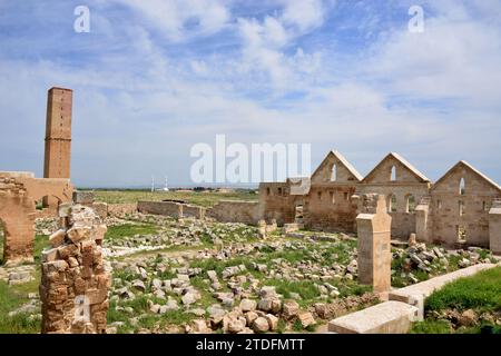 Kalif Marwan II. Lebte von 744 bis 750 n. Chr. in Harran. Es wird angenommen, dass sie Ulu Camii gegründet haben, die älteste islamische Universität der Welt Stockfoto