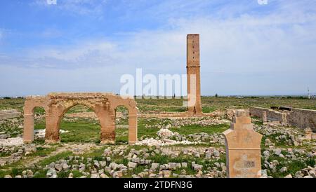 Kalif Marwan II. Lebte von 744 bis 750 n. Chr. in Harran. Es wird angenommen, dass sie Ulu Camii gegründet haben, die älteste islamische Universität der Welt Stockfoto