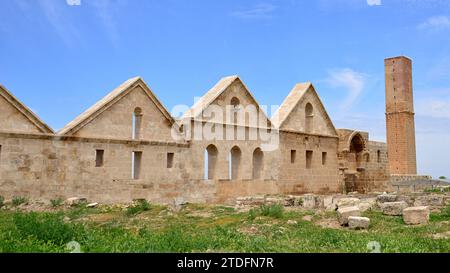 Kalif Marwan II. Lebte von 744 bis 750 n. Chr. in Harran. Es wird angenommen, dass sie Ulu Camii gegründet haben, die älteste islamische Universität der Welt Stockfoto