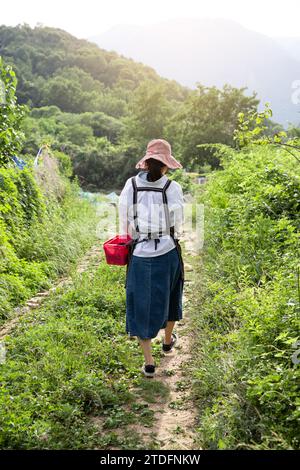 Rückblick auf junge Farmerinnen, die auf Himbeerfeld laufen Stockfoto