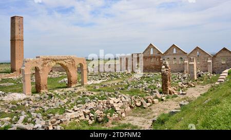 Kalif Marwan II. Lebte von 744 bis 750 n. Chr. in Harran. Es wird angenommen, dass sie Ulu Camii gegründet haben, die älteste islamische Universität der Welt Stockfoto