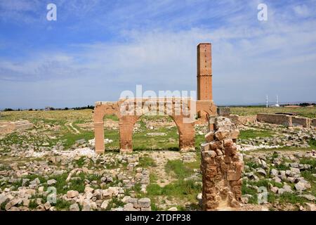 Kalif Marwan II. Lebte von 744 bis 750 n. Chr. in Harran. Es wird angenommen, dass sie Ulu Camii gegründet haben, die älteste islamische Universität der Welt Stockfoto