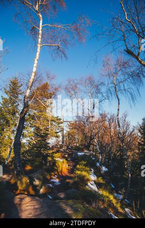 Wanderung zum Mandelstein, einem Berg im Waldviertel, Österreich Stockfoto