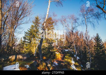 Wanderung zum Mandelstein, einem Berg im Waldviertel, Österreich Stockfoto