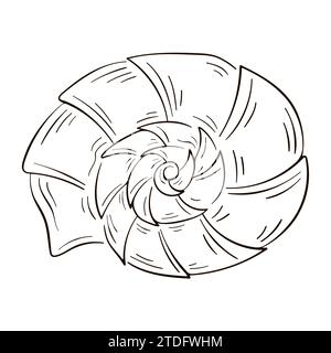 Schnecken-Muscheln im Linienart-Stil. Meeresunterwasser verdrehte Muschel in Spiralform. Unterwasser-Muscheln. Vektorabbildung isoliert auf einem weiß Stock Vektor