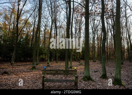 Prag, Tschechische Republik. Dezember 2023. Der Tatort des Doppelmordes in Klanovice Forest, Prag, Tschechien, am 18. Dezember 2023. Zwei Menschen, darunter ein Kind, wurden am 15. Dezember 2023 im Stadtteil Klanovice am östlichen Stadtrand von Prag tot aufgefunden. Mehrere Dutzend Polizisten arbeiten an der Aufklärung des Doppelmordes. Quelle: Michaela Rihova/CTK Photo/Alamy Live News Stockfoto