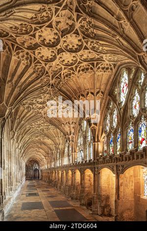 Das große Kloster in Gloucester Cathedral aus dem 14. Jahrhundert, das als das früheste und beste Beispiel für Fächergewölbe der Welt gilt, Gloucester, Engalnd, Großbritannien Stockfoto
