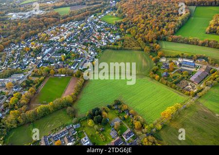 Blick aus der Vogelperspektive, Wiesen- und Waldgebiet mit herbstlichen Laubbäumen, Wohngebiet Hiltroper Landwehr und Fußballplatz des Ballspielvereins Hil Stockfoto