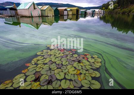 Bootshäuser am Chatcolet Lake, Idaho Stockfoto