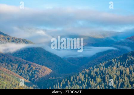 Morgens im Sommer ukrainische Karpaten. Nebelwellen am blauen Himmel und in den Wäldern, die die Berge bedecken Stockfoto