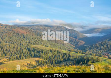 Morgens im Sommer ukrainische Karpaten. Nebelwellen in den Wäldern, die die Berge bedecken. Weiden für Viehzucht und ein kleines Dorf Stockfoto