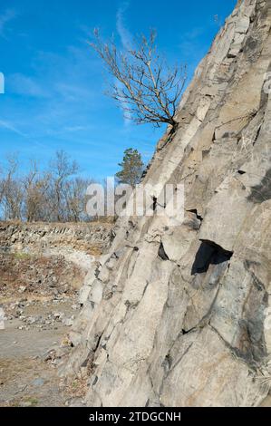 Der Hügel von Hegyestű, Komitat Veszprém, Ungarn Stockfoto