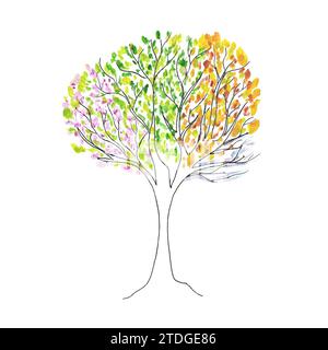 Aquarell vier Jahreszeiten Baum bunte Baumkrone mit wechselnden Jahreszeiten Frühling Sommer Herbst, Winter Holz isoliert handgezeichnete Illustration für Logos Stockfoto