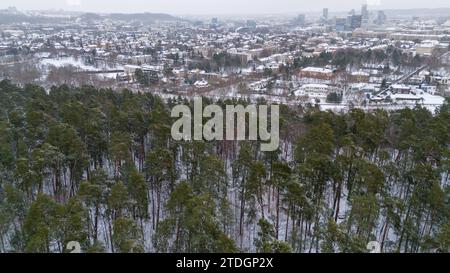 Drohnenfotografie von mehrstöckigen Häusern in einer Stadt in der Nähe eines Kiefernwaldparks während des Winters Stockfoto