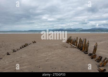 Überreste eines Schiffswracks in Rossbeigh Beach, Rossbeigh Beach, County Kerry, Irland Stockfoto