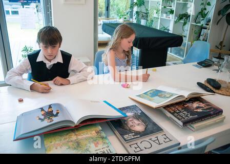 Ein Bruder und eine Schwester werden während der COVID-19-Pandemie zu Hause geschult Stockfoto