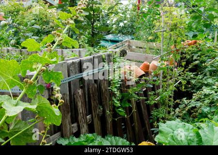 Überwachsen, Garten, Kleingartenanlage, Grundstück, Zaun, Holz, Alt, Composter, Wächst, Pflanzen Stockfoto