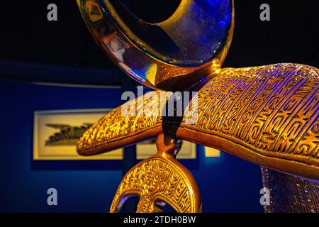 Das Australian National Maritime Museum (ANMM) ist ein staatlich betriebenes Meeresmuseum in Darling Harbour, Sydney, NSW, Australien Stockfoto