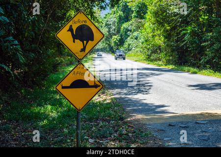 Humorvoll veränderte Straßenschilder warnen vor Kasuaren und einer Geschwindigkeitserhöhung in der Nähe von Madja im Daintree Rainforest, Cape Tribulation, Queensland, Australien Stockfoto