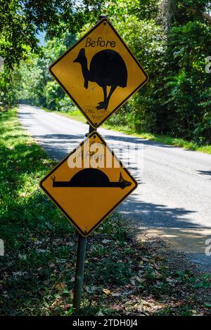 Humorvoll veränderte Straßenschilder warnen vor Kasuaren und einer Geschwindigkeitserhöhung in der Nähe von Madja im Daintree Rainforest, Cape Tribulation, Queensland, Australien Stockfoto