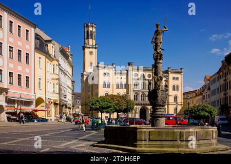 Rathaus mit Marsbrunnen national bedeutendes frühhistorisches Gebäude, erbaut zwischen 1840 und 1845 von Baumeister Carl August Schramm in Stockfoto