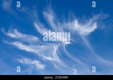 Weiße, flauschige Wolken auf blauem Himmel Stockfoto