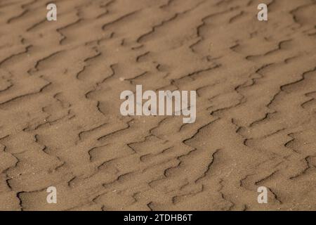 Dieser faszinierende Tanz aus windgeformtem Sand zeigt die zarte Schönheit der Kunstwerke der Natur in der ruhigen Umarmung des Windes. Stockfoto